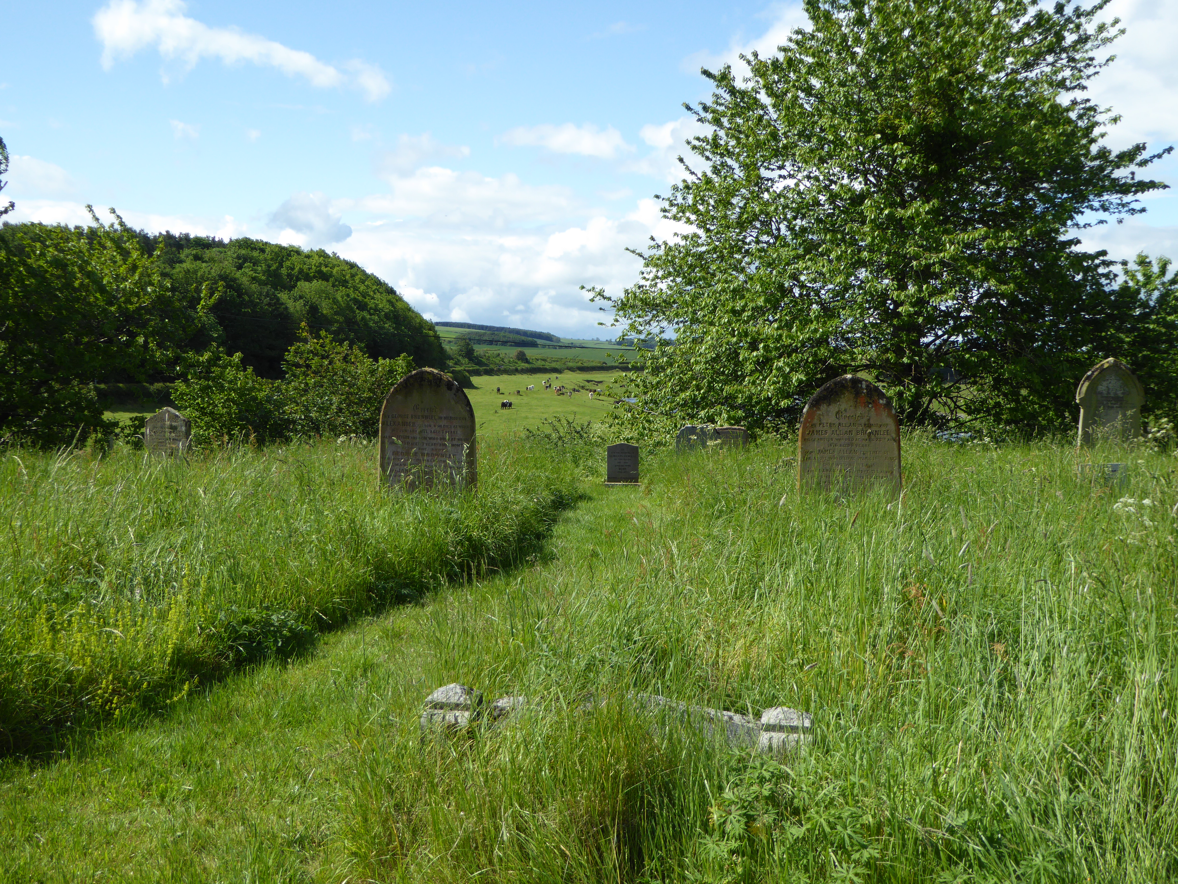 The graveyard at the Church of St Cuthbert looks out over pasture land and the River Tweed